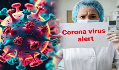 BIG NEWS : एमपी में दबे पांव आगे बढ़ रहा कोरोना, प्रदेश में आ चुके 25 से ज्यादा मामले, अब शुरू होगी सैंपलिंग, स्वास्थ्य विभाग ने जारी किया अलर्ट, पढ़े खबर