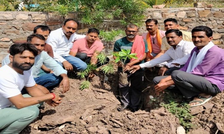 NEWS : विश्व पर्यावरण दिवस, रतनगढ़ में भाजपा कार्यकर्ताओं ने किया पौधारोपण, केंद्रीय एवं प्रदेश नेतृत्व के आव्हान पर किया अमल, पढ़े खबर