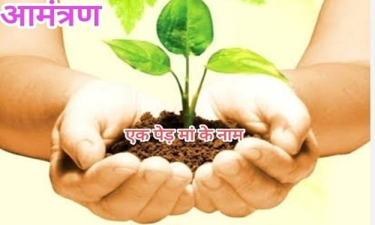 NEWS : नगर समस्या सुझाव ग्रुप रोपेगा 501 पौधे, "एक पेड़ मां के नाम" अभियान का आगाज, यहां आयोजित होगा भव्य कार्यक्रम, पढ़े खबर