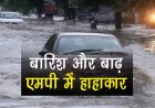 WEATHER UPDATE : एमपी में बारिश और बाढ़ से हाहाकार, बीस से ज्यादा इलाके डूबे, पुल-पुलिया बहे, दिन-रात के तापमान में सिर्फ इतने डिग्री का अंतर, मौसम विभाग ने जारी किया अलर्ट, पढ़े खबर