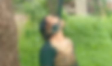 BIG BREAKING : पेड़ पर लटका मिला हसीना बी का शव, पूरे शटर में फैली सनसनी, अब नारायणगढ़ पुलिस जुटी जांच में, पढ़े खबर