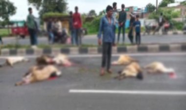 BIG BREAKING : महू-नीमच हाईवे पर बेकाबू हुआ ट्रक, इन्हें रौंदता हुआ निकला, 11 की मौके पर मौत, तो 6 घायल, मौके पर लोगों की भीड़, घटना पिपलियामंडी थाना क्षेत्र की, पढ़े खबर