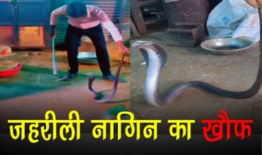 OMG ! घर में फन फैलाकर बैठी जहरीली नागिन, तो परिवार के लोगों के छूटे पसीने, फिर सर्फराज पहुंचा मौके पर, और किया रेस्क्यू, पकड़कर सुरक्षित जंगल में छोड़ा, पढ़े खबर