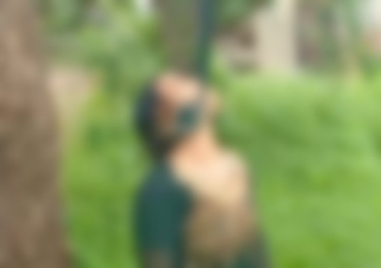 BIG BREAKING : पेड़ पर लटका मिला हसीना बी का शव, पूरे शटर में फैली सनसनी, अब नारायणगढ़ पुलिस जुटी जांच में, पढ़े खबर