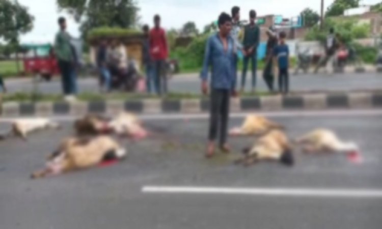 BIG BREAKING : महू-नीमच हाईवे पर बेकाबू हुआ ट्रक, इन्हें रौंदता हुआ निकला, 11 की मौके पर मौत, तो 6 घायल, मौके पर लोगों की भीड़, घटना पिपलियामंडी थाना क्षेत्र की, पढ़े खबर