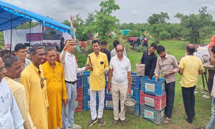 NEWS : पर्यावरण मित्र संस्था के सदस्य पहुंचे कंजार्डा पठार के जंगल क्षेत्र में, हजारों सीडबॉल का किया रोपण, अब इस बड़े लक्ष्य की भी तैयारी, पढ़े खबर