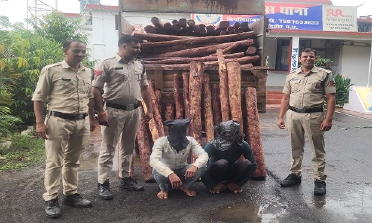BIG NEWS : पुष्पा फिल्म की तर्ज पर लाल चंदन की तस्करी, पिपलियामंडी पुलिस ने जप्त की 22 क्विंटल लकड़ी, गिरफ्तार दो आरोपियों को भेजा जेल, मदसौर के राजेन्द्र की तलाश जारी, क्या बोले थाना प्रभारी, पढ़े खबर