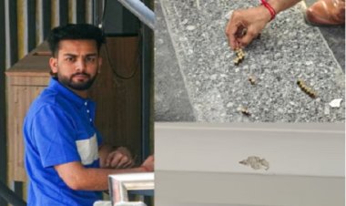 BIG NEWS : दनादन फायरिंग, चेहरे पर नकाब, यूट्यूबर एल्विश यादव के घर गोलियों की बरसात, किसने और क्यों की फायरिंग..! वजह बताने सामने आया गैंग, पढ़े खबर