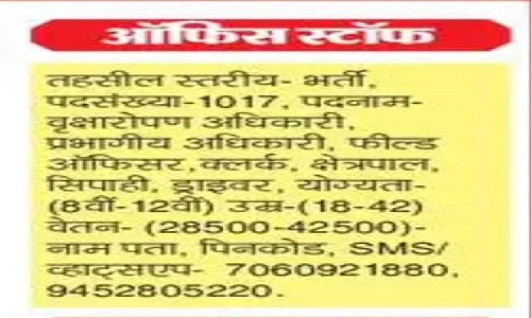 BIG NEWS : बेरोजगार हो जाएं सावधान, निकाली जा रही फर्जी भर्ती, युवा हो रहे धोखाधड़ी का शिकार, ताजा मामला वन विभाग के नाम से जुड़ा, पढ़े खबर