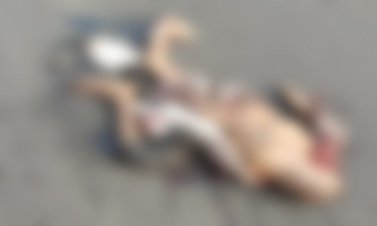 BIG NEWS : भरभड़िया फंटे के पास हादसा, पैदल जा रहे व्यक्ति को अज्ञात वाहन ने मारी टक्कर, मौके पर हुई मौत, पहचान करने में जुटी पुलिस, अगर आपको है कोई जानकारी, तो इन नंबरों पर करें संपर्क, पढ़े खबर
