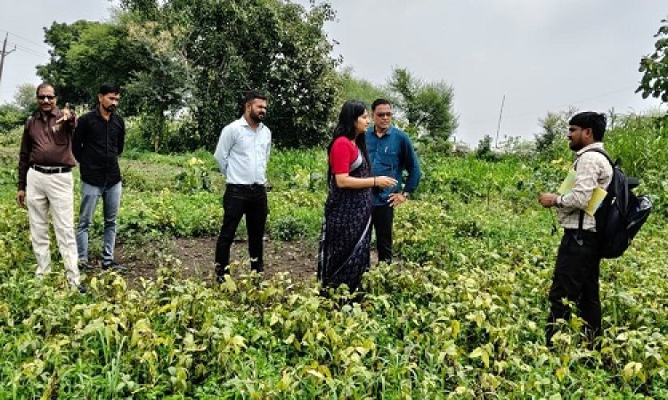 BIG NEWS : अतिवृष्टि से फसलों को पहुंचा नुकसान, अब अलर्ट मोड पर प्रशासन, इन गावों में पहुंची एसडीएम किरण आंजना, सर्वे कार्य का लिया जायजा, पढ़े खबर