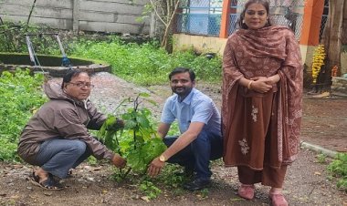 NEWS : अनंत चतुदर्शी, बाल कल्याण समिति ने नीमच के इस क्षेत्र में किया पौधारोपण, सहेजने का लिया संकल्प, पढ़े खबर