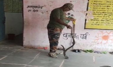 BIG NEWS : पिपलियामंडी क्षेत्र के स्कूलों में सांपों का आतंक, चपरासी को डसा, फिर यहां से पकड़े गए जहरीले स्नैक, पढ़े खबर