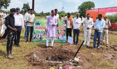 NEWS : रतनगढ़ में वन विभाग ने किया खास कार्यक्रम का आयोजन, विधायक सखलेचा सहित ये हुए शामिल, पौधरोपण कर दिया बड़ा संदेश, पढ़े खबर