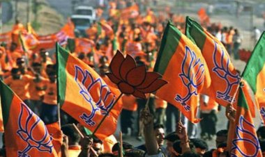 BIG NEWS : नीमच जिला भाजपा ने की पदाधिकारियों की घोषणा, इन्हें मिली बड़ी जिम्मेदारी, नामों की सूची भी आई सामने, पढ़े खबर