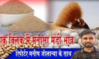 MANASA MANDI : मनासा मंडी में सोयाबीन व गेहूं की बंपर आवक, आज किस जींस के भाव में आई गिरावट, और किसके दाम रहें तेज, देखें मनीष जोलान्या की इस रिपोर्ट में