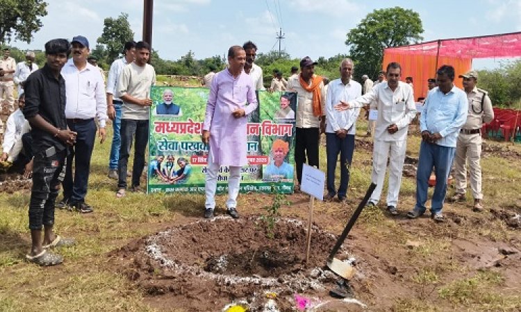 NEWS : रतनगढ़ में वन विभाग ने किया खास कार्यक्रम का आयोजन, विधायक सखलेचा सहित ये हुए शामिल, पौधरोपण कर दिया बड़ा संदेश, पढ़े खबर