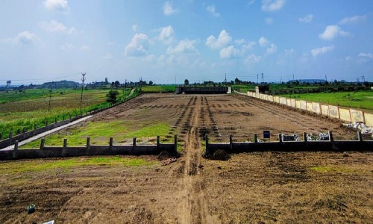 NEWS : एक पेड़ मां के नाम अभियान, पर्यावरण संरक्षण को लेकर नगर परिषद की अनूठी पहल, 1100 पौधों का होगा रोपण, पिपलियामंडी में आयोजित इस कार्यक्रम से होगी शुरुआत, पढ़े खबर