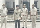 BIG NEWS : अवैध डोडाचूरा तस्करी मामला, बिजयपुर पुलिस की बड़ी कार्रवाई, फरार आरोपी मुकेश चौधरी गिरफ्तार, यहां दबिश के बाद खाकी को मिली सफलता, पढ़े खबर