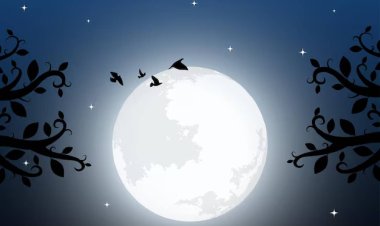 शरद पूर्णिमा: अमृत वर्षा की रात्रि और आत्मजागरण का संदेश, पौराणिक प्रसंग और भक्ति की गहराई, चंद्रमा की सोलह कलाएं, और यह है नवाचार, पढ़े रचनाकार जुही जैन की कलम से