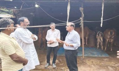 NEWS : दुग्ध समृद्धि सम्पर्क अभियान, मनासा विधायक मारू ने पशुपालन कार्य का लिया जायजा, राजू से की चर्चा, और विधियों की ली जानकारी, पढ़े खबर