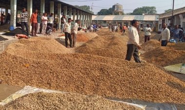 BIG NEWS : आज रात से मूंगफली और मक्का का नीमच मंडी में प्रवेश निषेध, समिति ने दी अहम जानकारी, व्यापारी और तुलावटियों से भी बड़ी अपील, पढ़े खबर