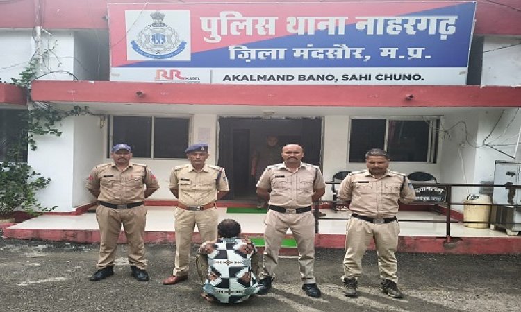 BIG NEWS : नाहरगढ़ पुलिस की बड़ी कार्यवाही, अवैध मादक पदार्थ के साथ तस्कर गिरफ्तार, एक वाहन भी जप्त, पढ़े खबर