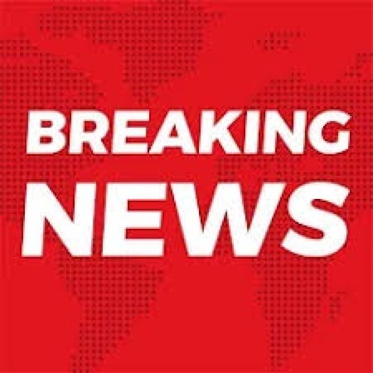 BREAKING NEWS- डोडाचूरा तस्करी मामले में राजस्थान के घनश्याम को 12 साल का सश्रम कारावास और हुआ 1.5 लाख का ज़ुर्माना,पढ़े खबर