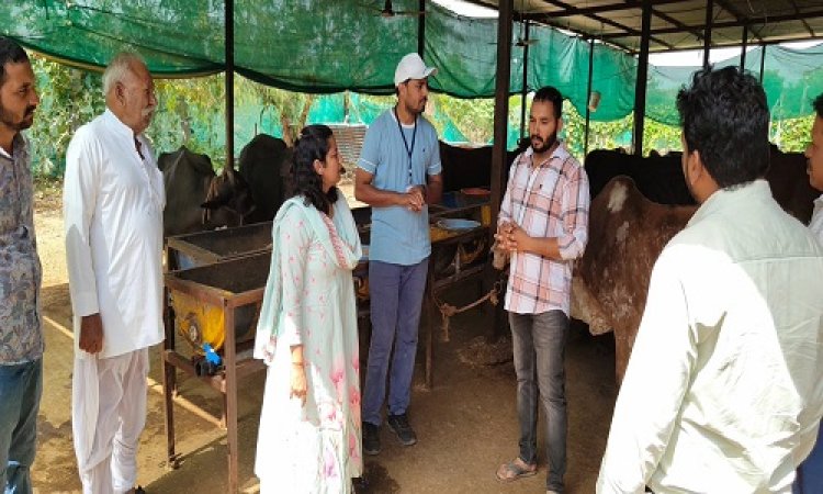 NEWS : दुग्ध समृद्धि अभियान, आत्मनिर्भर बन रहे जिले के पशुपालक, लक्ष्मी धाकड़ प्रतिमाह कमा रही एक लाख से ज्यादा, पढ़े सफलता की कहानी