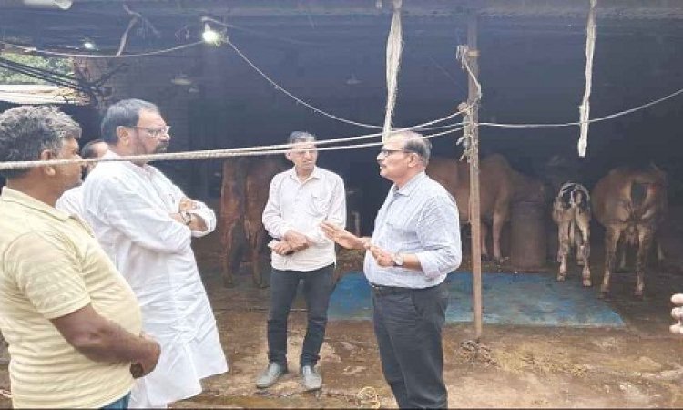 NEWS : दुग्ध समृद्धि सम्पर्क अभियान, मनासा विधायक मारू ने पशुपालन कार्य का लिया जायजा, राजू से की चर्चा, और विधियों की ली जानकारी, पढ़े खबर