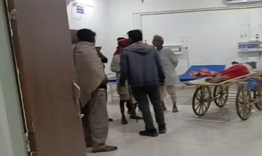 OMG ! घर में खेल रही बच्ची, और अचानक सांप ने डंसा, परिजन लेकर पहुंचे अस्पताल, तो डॉक्टरों ने किया मृत घोषित, मनासा पुलिस जुटी जांच में, घटना इस गांव की, पढ़े खबर