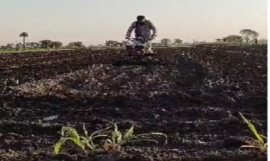 BIG NEWS : बारिश ने बिगाड़ी अफीम की फसल, पहली बोवनी पूरी तरह चौपट, अब किसानों ने फिर शुरू किया ये काम, एक महीने की होगी देरी, क्या बोले मनासा क्षेत्र के अन्नदाता, पढ़े खबर