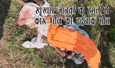 BIG BREAKING : खूंखार जानवर ने बुजुर्ग पर किया हमला, चंद मिनटों में चली गई जान, पहाड़ी के पास मिली कारू भील की लाश, पूरे गांव में दहशत का माहौल, ये घटना बालागुढ़ा गांव की, पिपलियामंडी पुलिस जुटी जांच में, पढ़े खबर