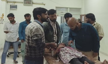 BIG NEWS : मनासा नगर में आवारा कुत्तों का आतंक, घर के बाहर खेल रहें बच्चों पर किया हमला, एक का उपचार जारी, तो  दूसरा मासूम रेफर, पढ़े खबर