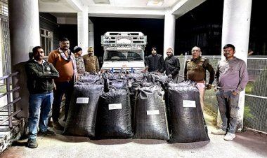 BIG NEWS : नीमच-सिंगोली रोड़ पर रतनगढ़ पुलिस की नाकाबंदी, फिर पिकअप वाहन से अवैध नशे की खैप बरामद, पर चालक ऐसे हो गया फरार, डोडाचूरा जप्त करने के बाद तस्कर की तलाश में जुटी खाकी, पढ़े खबर