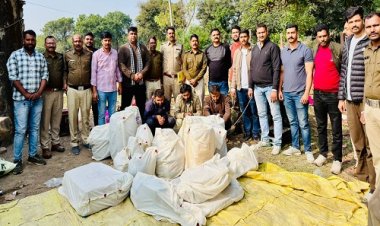 BIG NEWS : नार्कोटिक्स विंग की नीमच जिले में बड़ी कार्यवाही, अवैध एमडी और लिक्विट फॉर्म सहित करोड़ों का केमिकल जप्त, तीन आरोपी भी गिरफ्तार, पढ़े खबर