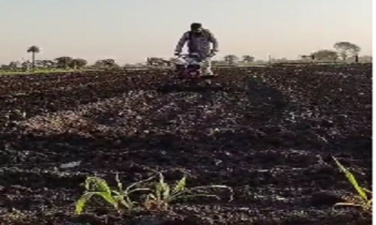 BIG NEWS : बारिश ने बिगाड़ी अफीम की फसल, पहली बोवनी पूरी तरह चौपट, अब किसानों ने फिर शुरू किया ये काम, एक महीने की होगी देरी, क्या बोले मनासा क्षेत्र के अन्नदाता, पढ़े खबर