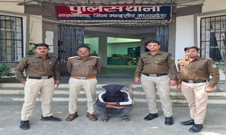 NEWS : मादक पदार्थ तस्करी मामला, नारायणगढ़ पुलिस को मिली सफलता, फरार आरोपी को किया गिरफ्तार, राजस्थान में दबिश के बाद टीम को मिली सफलता, पढ़े खबर
