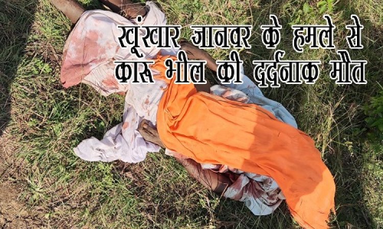 BIG BREAKING : खूंखार जानवर ने बुजुर्ग पर किया हमला, चंद मिनटों में चली गई जान, पहाड़ी के पास मिली कारू भील की लाश, पूरे गांव में दहशत का माहौल, ये घटना बालागुढ़ा गांव की, पिपलियामंडी पुलिस जुटी जांच में, पढ़े खबर