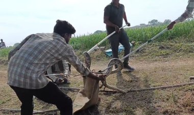 NEWS : गुजरत में दिखा अजगर, तो गांव में फैली दहशत, सूचना मिलते ही वन विभाग की टीम पहुंची मौके पर, और किया रेस्क्यू, पढ़े खबर