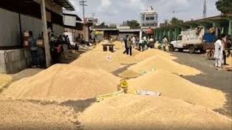 BIG NEWS : नीमच मंडी व्यापारी संघ के अगले कार्यकाल के चुनाव इस दिन, अध्यक्ष सहित इन पदों पर होगी दावेदारी, कार्यकारिणी बैठक में नियम एवं प्रक्रियाए निर्धारीत, पढ़े खबर