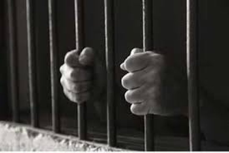 BIG NEWS : मनासा-कुकड़ेश्वर रोड़ पर हादसा, और दिनेश की दर्दनाक मौत, अब कार चालक को न्यायालय ने सुनाई सजा, आरोपी अनिल पहुंचा सलाखों के पीछे, जुर्माने से भी किया दंडित, पढ़े खबर