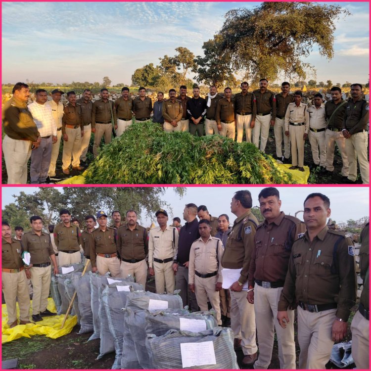 BIG NEWS: गेहूं-सरसों की आड़ में लहलहा रहे थी ये अवैध खेती,​कुकड़ेश्वर पुलिस का एक ही महीने में ये दूसरा बड़ा प्रहार,क्या हैं मामला पढ़े ये खबर