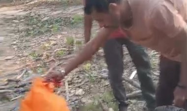 BIG NEWS-हरवार में 11000‑वोल्टेज लाइन की चपेट से वानर की मौत: ग्रामीणों ने किया अंतिम संस्कार, प्रशासन से शीघ्र कार्रवाई की मांग