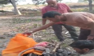 BIG NEWS-हरवार में 11000‑वोल्टेज लाइन की चपेट से वानर की मौत: ग्रामीणों ने किया अंतिम संस्कार, प्रशासन से शीघ्र कार्रवाई की मांग, पढ़े खबर