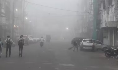 MP WEATHER : नीमच–मंदसौर सहित 14 जिलों के मौसम का बदला मिजाज, बारिश की संभावना; रात में बढ़ेगी ठंड, पढ़े खबर