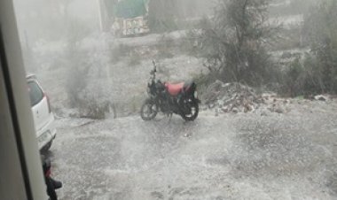 BIG NEWS : नीमच के बाद मंदसौर में मौसम का कहर, मल्हारगढ़ के झारड़ा गांव में तेज बारिश व ओलावृष्टि,अफीम फसल को नुकसान की आशंका,पढ़े खबर