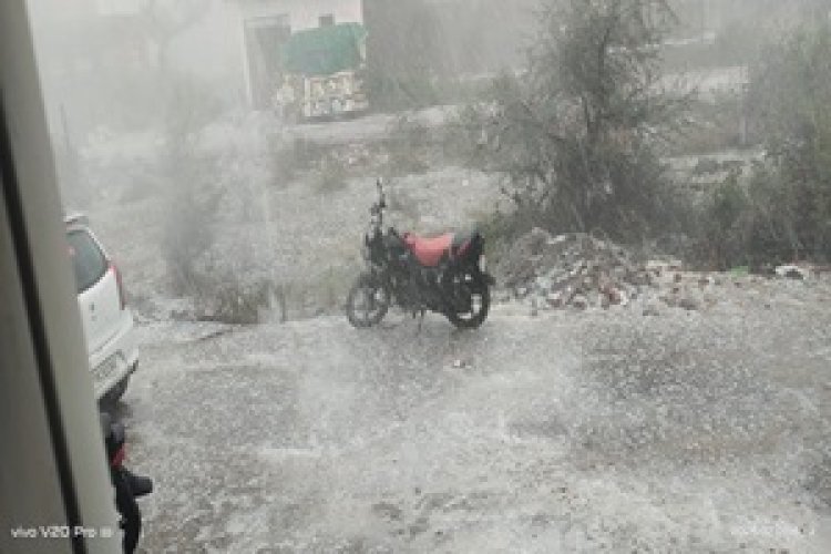 BIG NEWS : नीमच के बाद मंदसौर में मौसम का कहर, मल्हारगढ़ के झारड़ा गांव में तेज बारिश व ओलावृष्टि,अफीम फसल को नुकसान की आशंका,पढ़े खबर