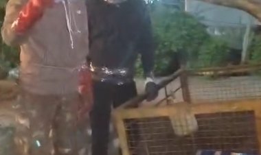 BREAKING NEWS: “रहवासी इलाके में मंडरा रहा था खतरा! पानी की टंकी पर लगे 14 विशाल मधुमक्खी छत्तों का हुआ रेस्क्यू”,टला सर्पराज टीम की सावधानी से बड़ा हादसा,छोड़ा सुरक्षित जंगल में ,पढ़े खबर 