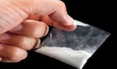 BIG NEWS: इंदौर ड्रग्स कांड में फरार तस्कर-पैडलरों पर इनाम घोषित, इन राज्यों के 16 आरोपी सहित नीमच-मंदसौर के भी लिस्ट मे शामिल,पुलिस की तलाश हुई तेज,सुचना देने वालों की पहचान रहेगी गुप्त,पढ़े खबर